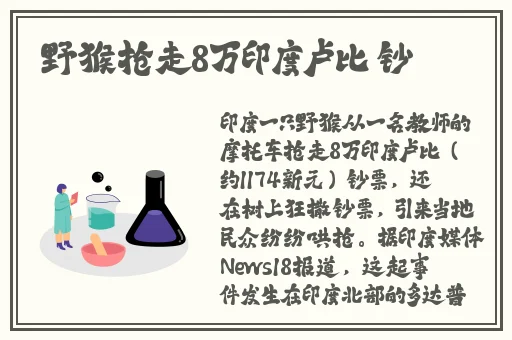 坐在学长的根茎上背单词